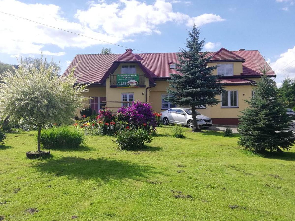 Villa Agrokrysia Kroscienko Exterior foto