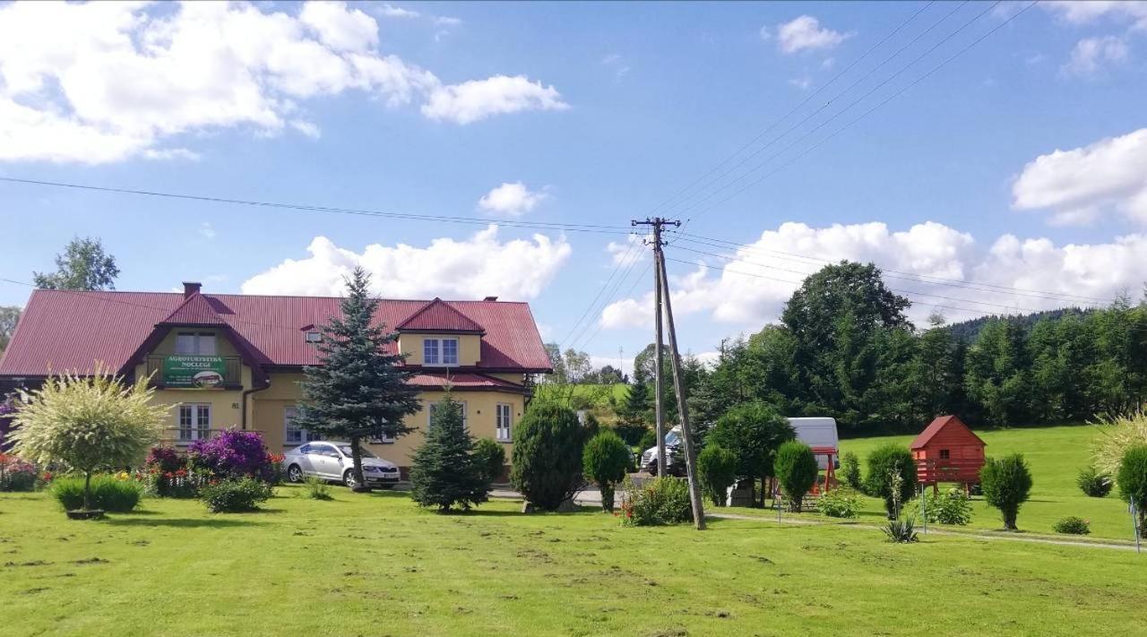 Villa Agrokrysia Kroscienko Exterior foto