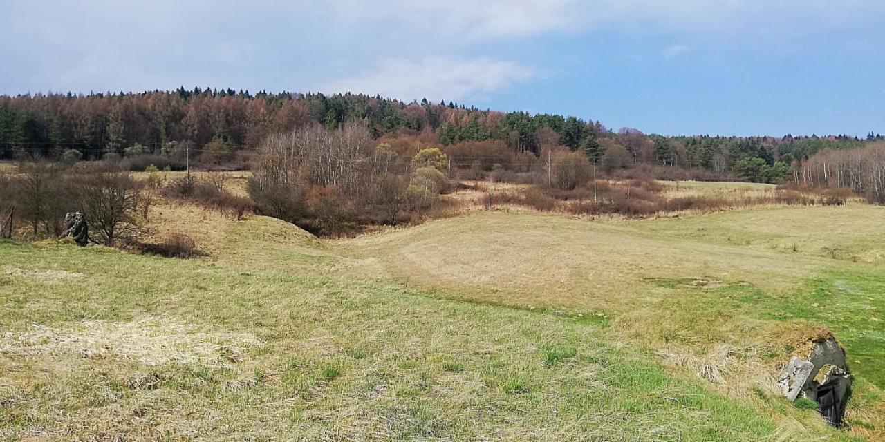 Villa Agrokrysia Kroscienko Exterior foto