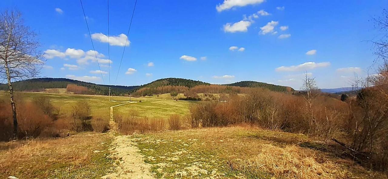 Villa Agrokrysia Kroscienko Exterior foto